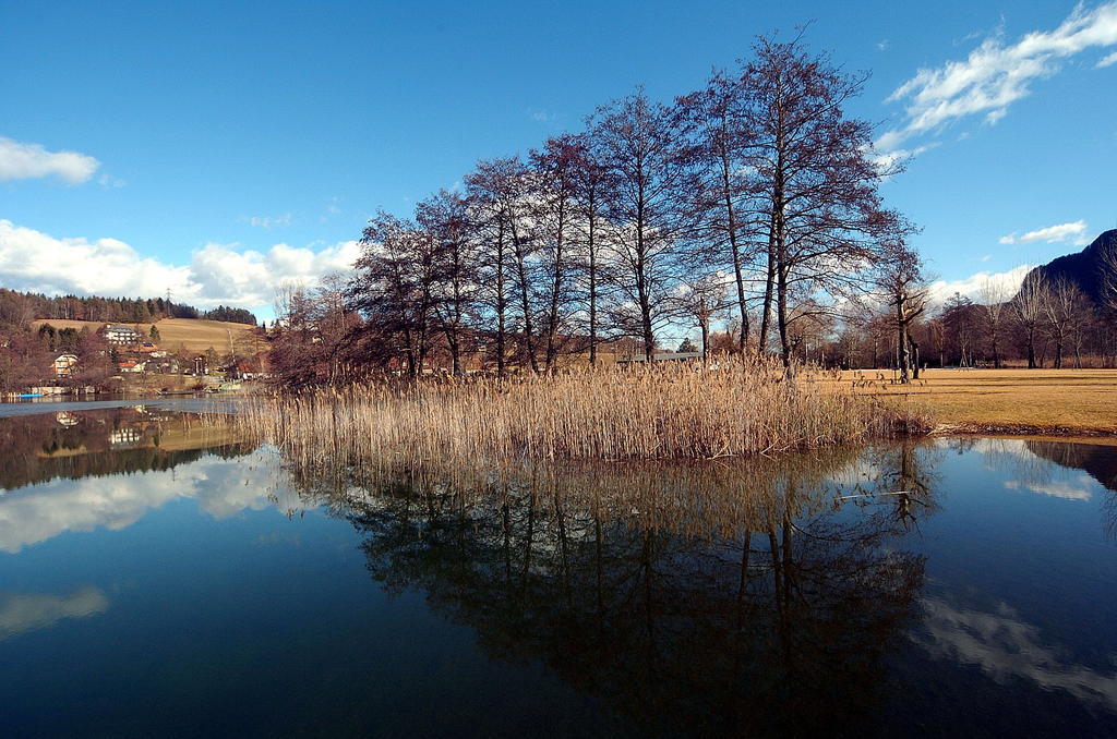Landhaus Scherling Daire Keutschach am See Dış mekan fotoğraf